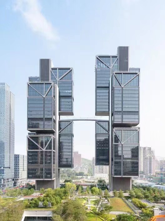 山鸟设计积累：三亚的树VS深圳的树